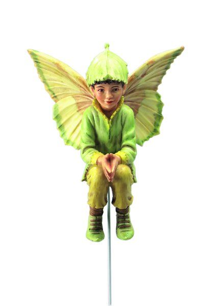  Flower Fairies  Szilfa tndr
