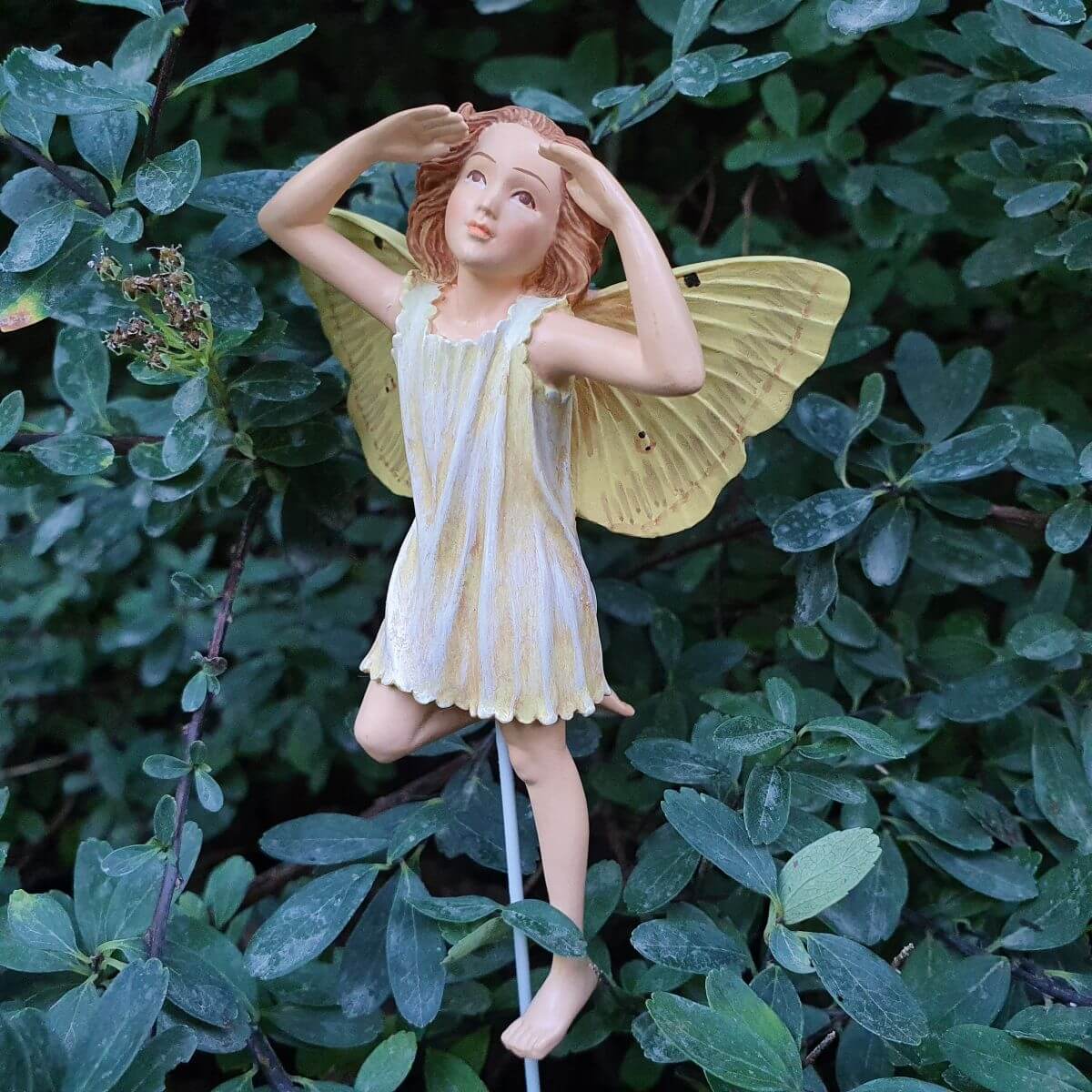  Flower Fairies  Bodzavirg tndr
