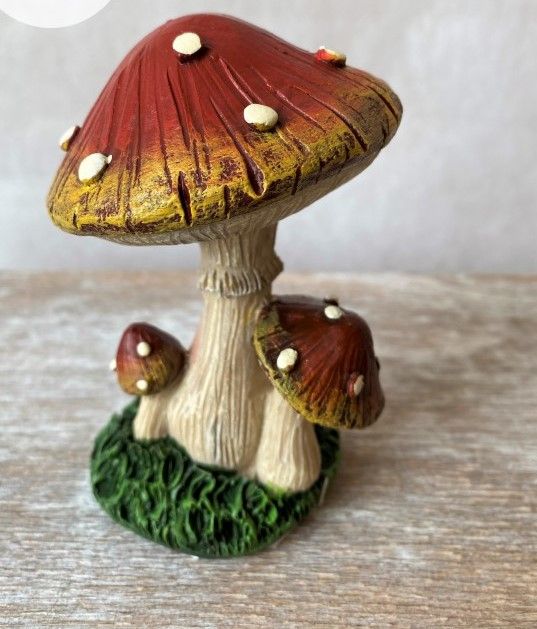  Gomba csoportban 10 cm-es
