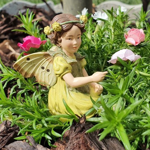  Flower Fairies  Virgtndrek