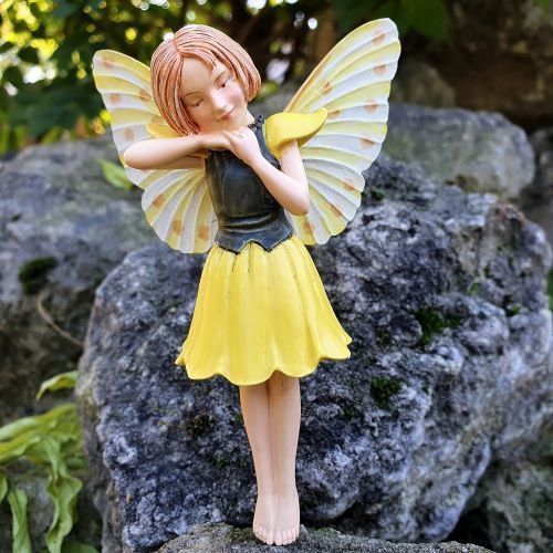 Flower Fairies  Aranyes tndr dszdobozban
