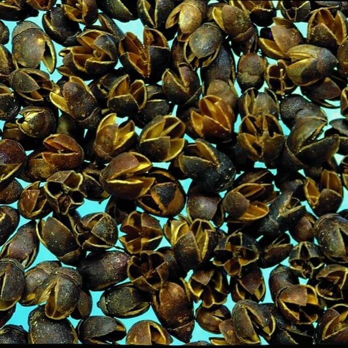 Bakuli natur