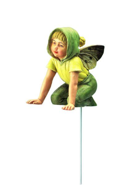  Flower Fairies  Forrasztf tndr