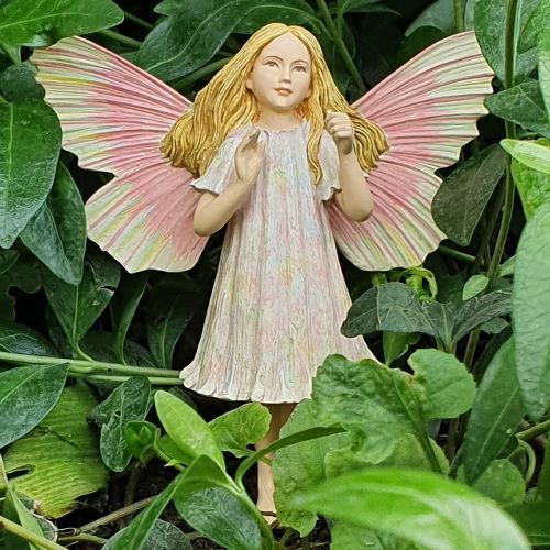  Flower Fairies  Cickafark virgtndr dszdobozban