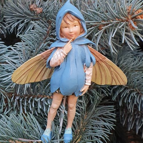  Flower Fairies  Csillagvirg tndr