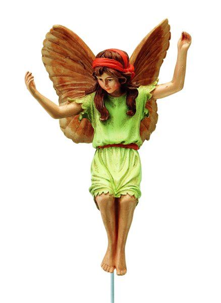  Flower Fairies  Csipkebogy tndr