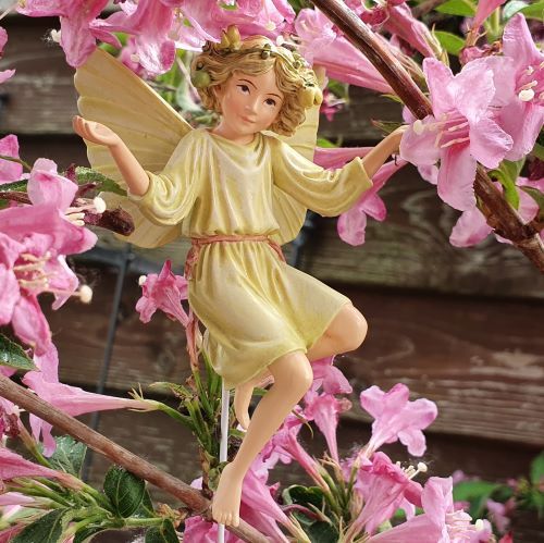  Flower Fairies  Flditk virgtndr dszdobozban