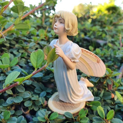  Flower Fairies  Gyngyvirg tndr