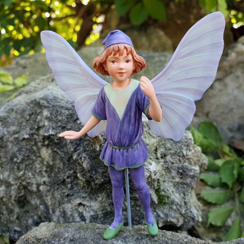  Flower Fairies  Ibolya tndr