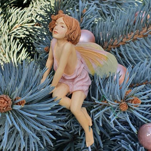  Flower Fairies  Jzmin tndr