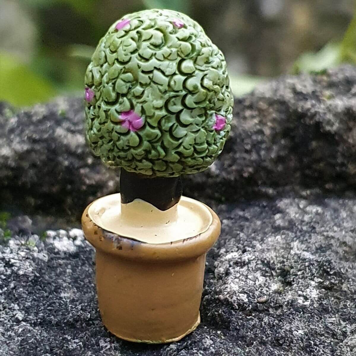  30 mm-es Mini cserepes trpe gymlcsfa