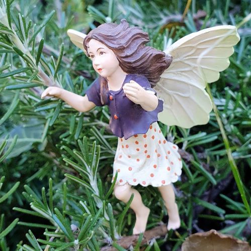  Flower Fairies  Kkny tndr