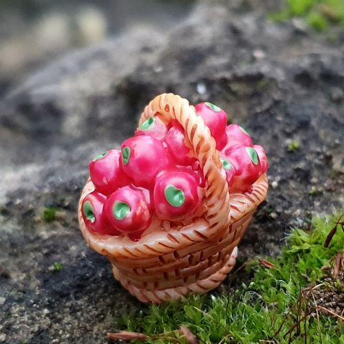  Mini gymlcsk kosrban