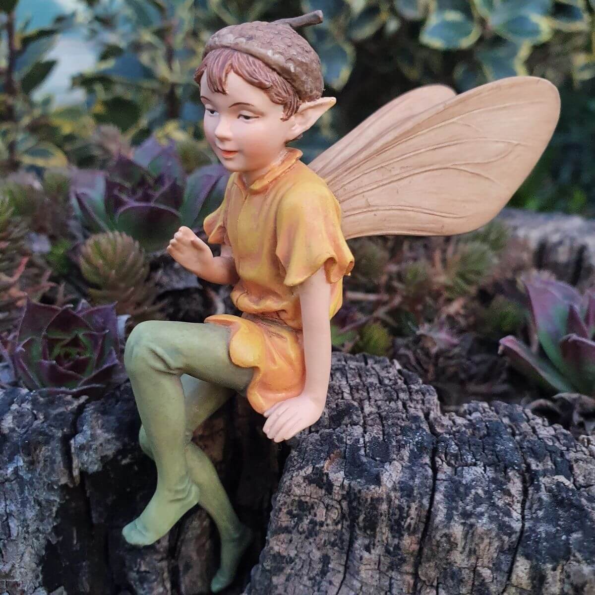  Flower Fairies  Tlgy tndr dszdobozban
