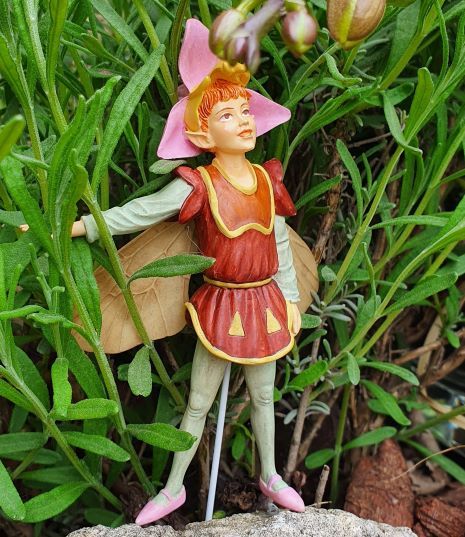  Flower Fairies  Orchidea tndr dszdobozban