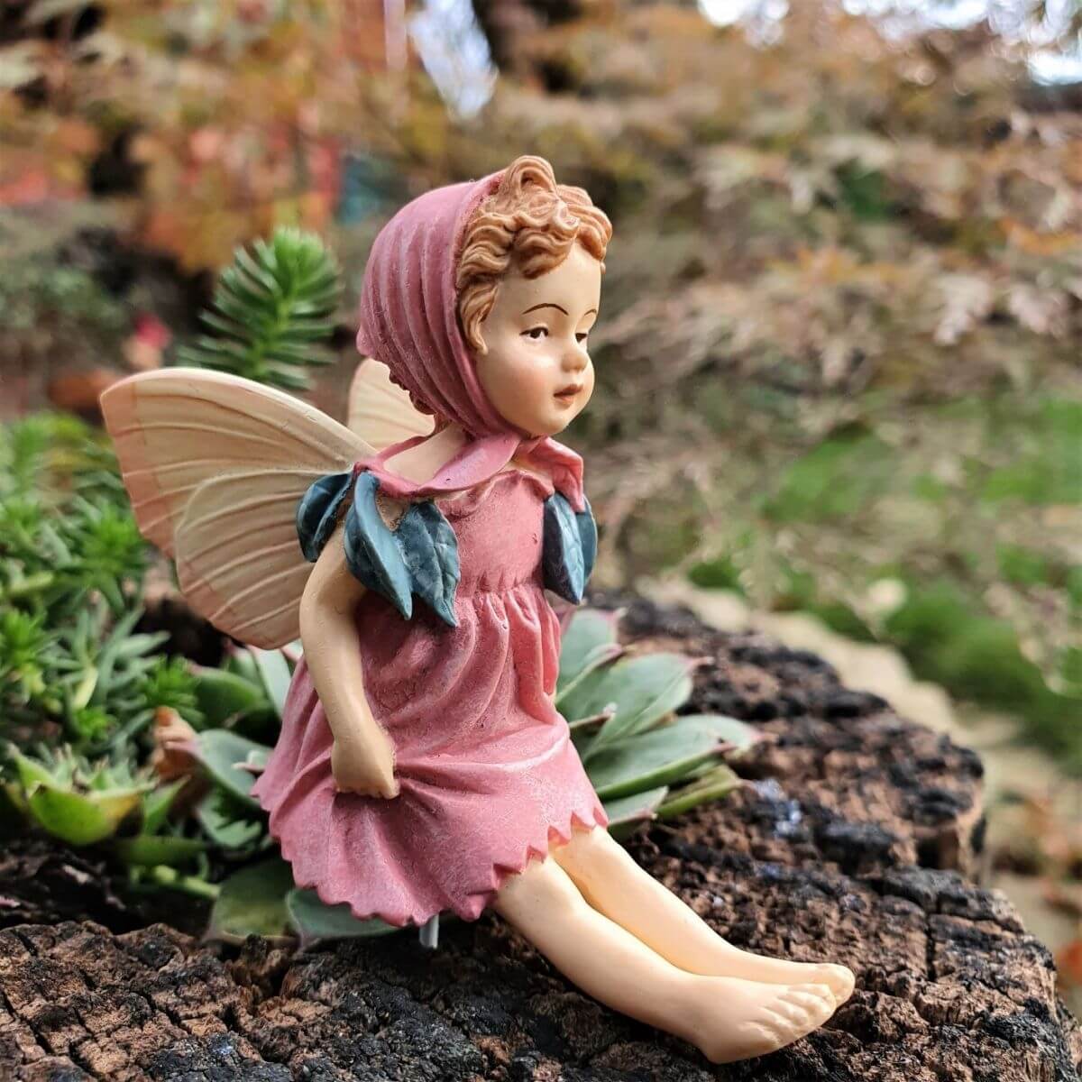  Flower Fairies  Rti here virgtndr