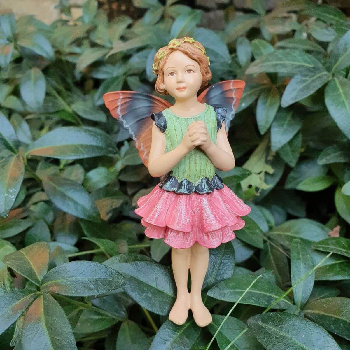  Flower Fairies  Rzvirg tndr dszdobozban
