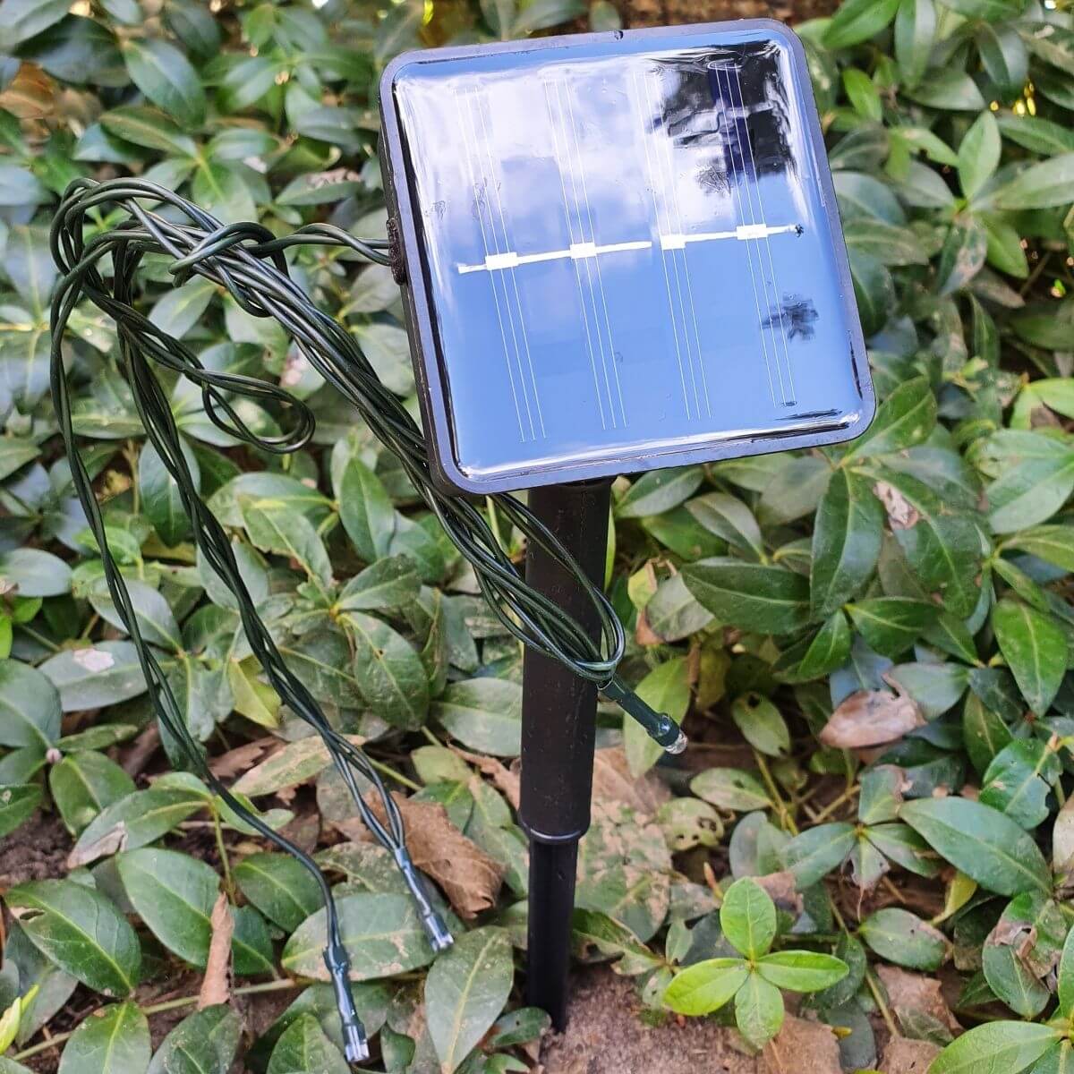  Solar LED vilgts