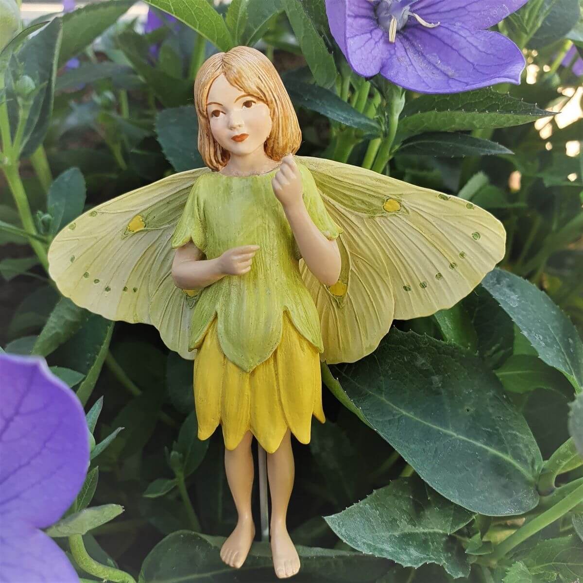  Flower Fairies Rti boglrka tndr