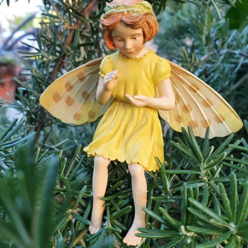  Flower Fairies  Vardics aranyvirg tndr